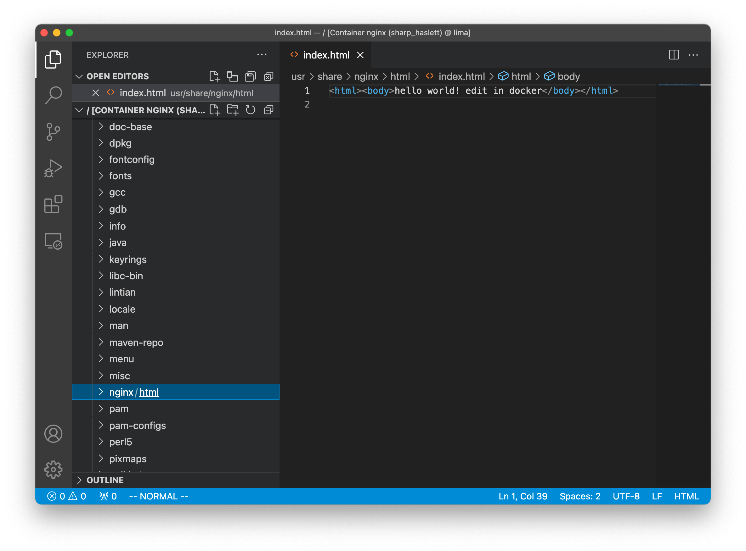 Editing an file on remote container in VS Code