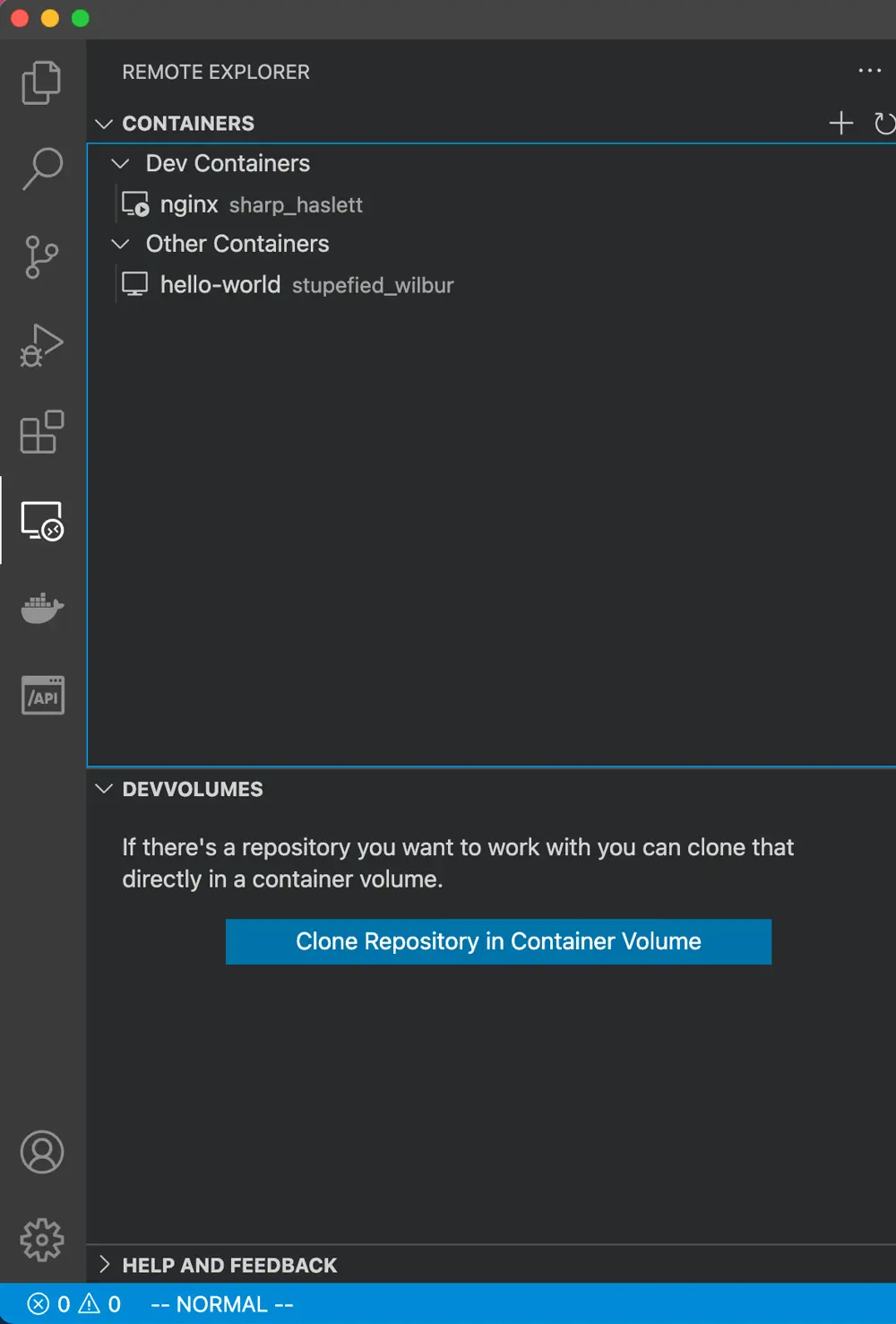 The remote container pane in VS Code